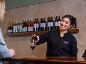 Enjoy wine tasting with our friendly professional staff