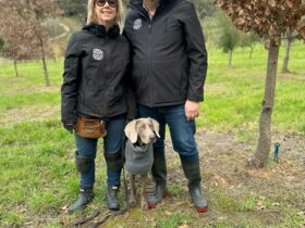 Owner Matt Lawrence, farm manager Emma Bradshaw and Truffle Dog Riley