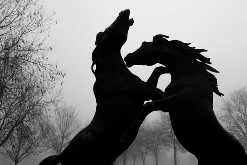 Stallions Rampant - Rymill Coonawarra's life-size bronze sculpture