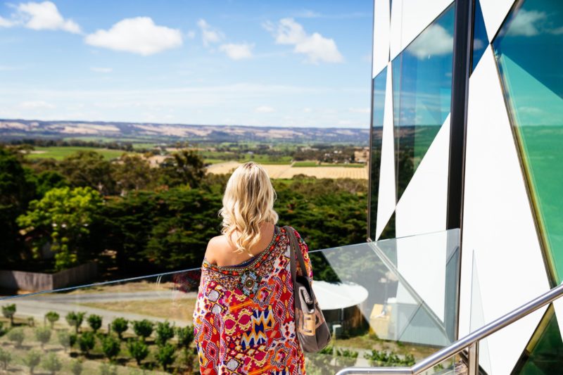 Magnificent views over McLaren Vale from the top floor of the d'Arenberg Cube