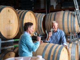 Jacques Lurton and Yale Norris owners and winemakers The Islander Estate Vineyards