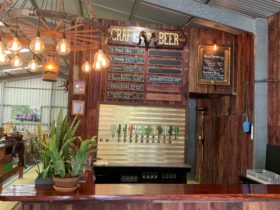 12 hand made beer taps and the hand made bar
