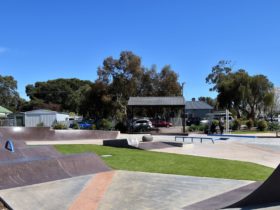 Freeling Skate Park