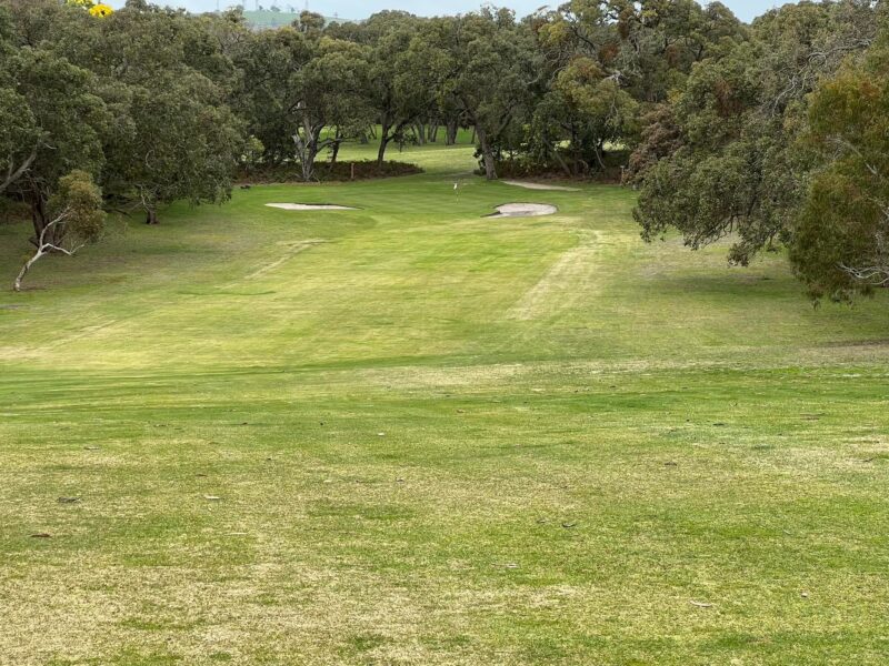 Millicent Golf Course