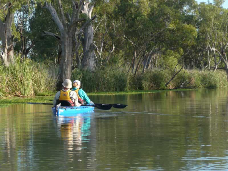 Canoe Adventures, Berri, Riverland, South Australia