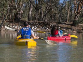 Convenient parking and kayak hire situated right on Renmark's wetland trail