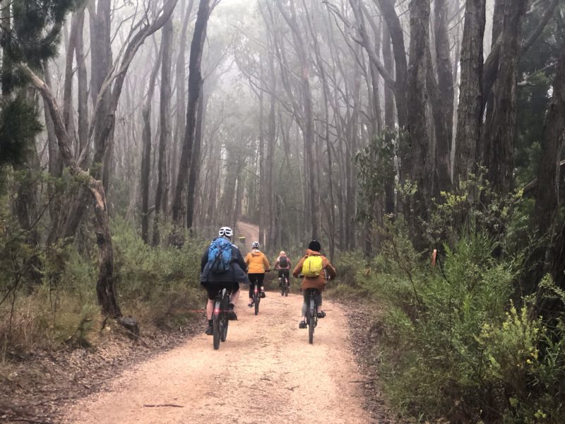 Cycling through local stunning native vegetation along quiet dirt roads, Adelaide Hills