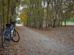 Bike on trail in Autumn