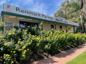 Front of Renmark Paringa Visitor Information Centre