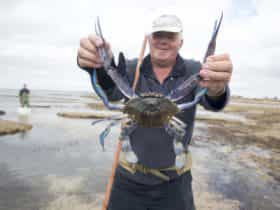 crabbing, Tiddy Widdy Beach, Yorke Peninsula, South Australia