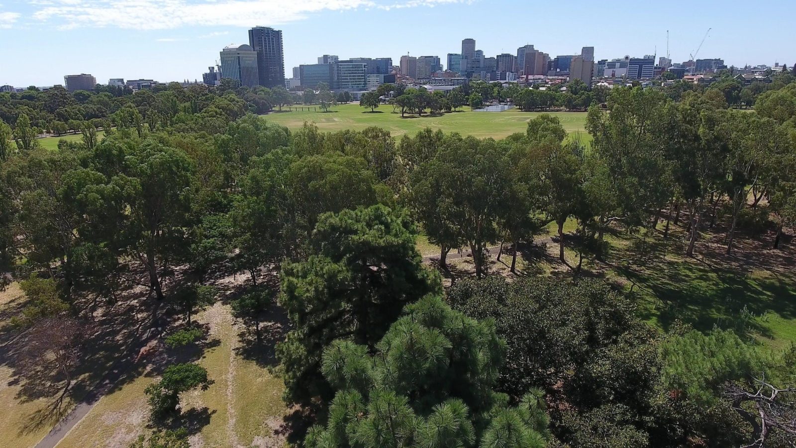 Just one of the Parks within the Adelaide Park Lands