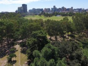 Just one of the Parks within the Adelaide Park Lands