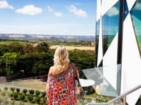 Lady looking out over the hills from balcony of d'Arenberg Cube
