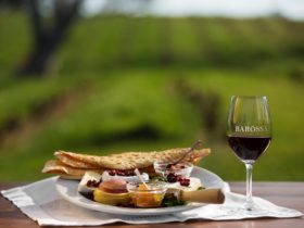 Barossa wine and food