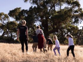 Barossa Wellness Family nature yoga south australia