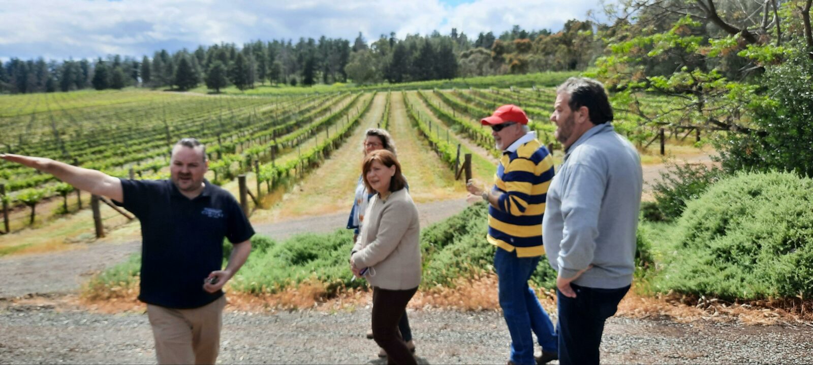 A group of 4 people in vineyards with a fifth person guiding them by pointing out.