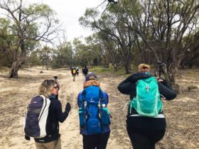 Big Heart Adventures wellness walks and hikes in Riverland Murray River