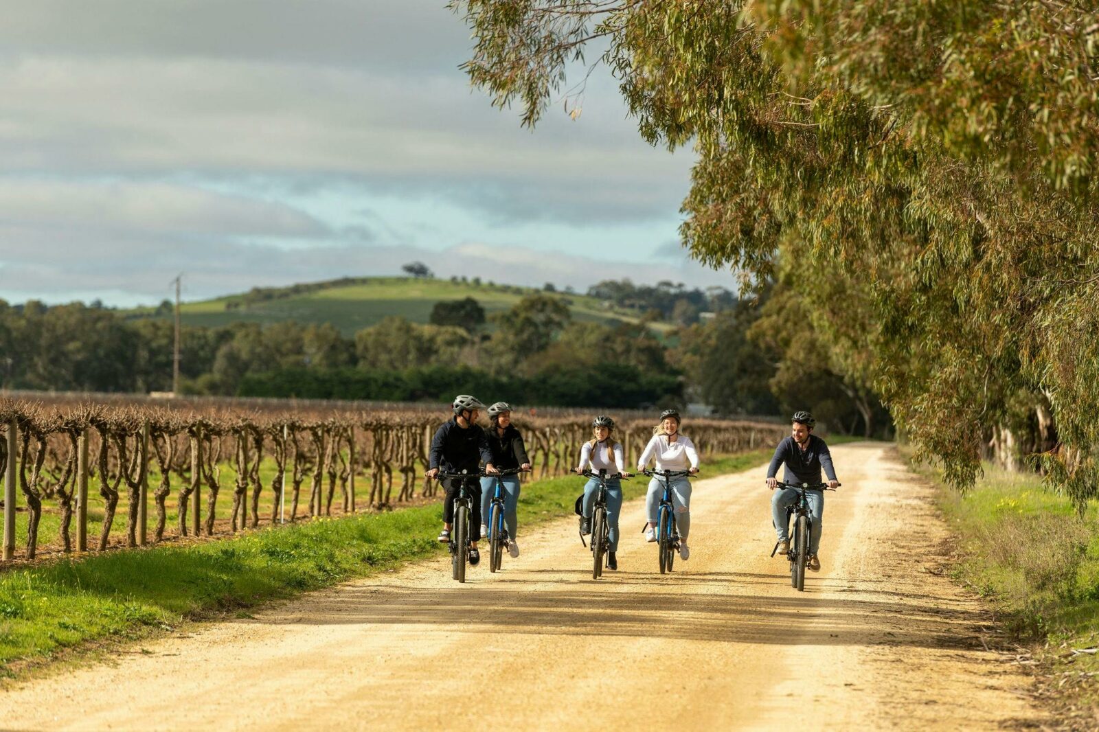 Ride through beautiful vineyards in The Barossa Valley and Adelaide Hills