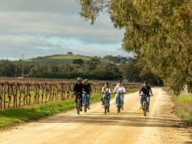 Ride through beautiful vineyards in The Barossa Valley and Adelaide Hills