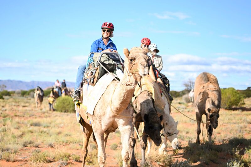 Camel Treks Australia Safaris in the Outback