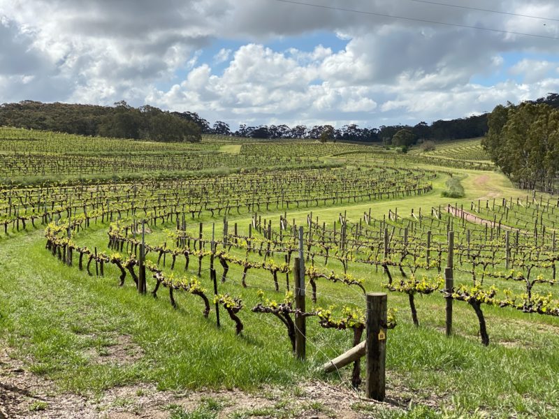 Clare Valley Wine Tours