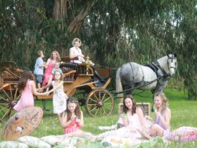 Carriage Ride and Vintage Picnic