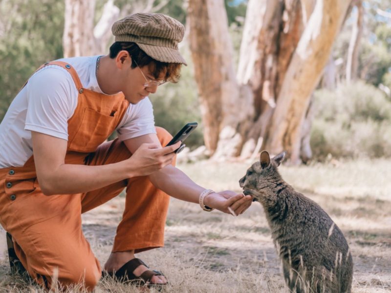 Cleland Wildlife Park. A man is holding the paw of a wallaby
