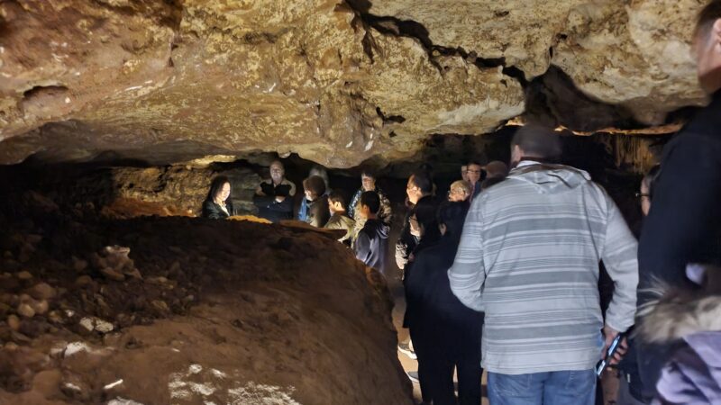Inside the Naracoorte Caves chamber