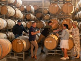 Private wine tasting from the barrel at Rymill Coonawarra