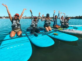 womens stand up paddle boarding SA. lesson for women at west lakes. beginner friendly SUP tours.