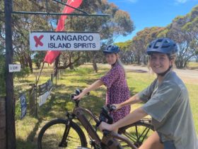 Guests visiting Kangaroo Island Spirits