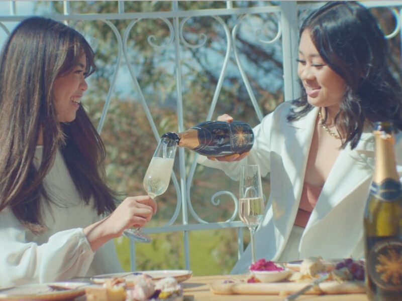 two beautiful young ladies sit within a birdcage. One lady is pouring the other a glass of Champagne