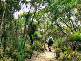 Kangaroo Island 6 Day Pack Free Walk from Life's An Adventure