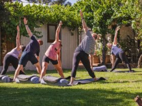 Yoga south Australia barossa retreat