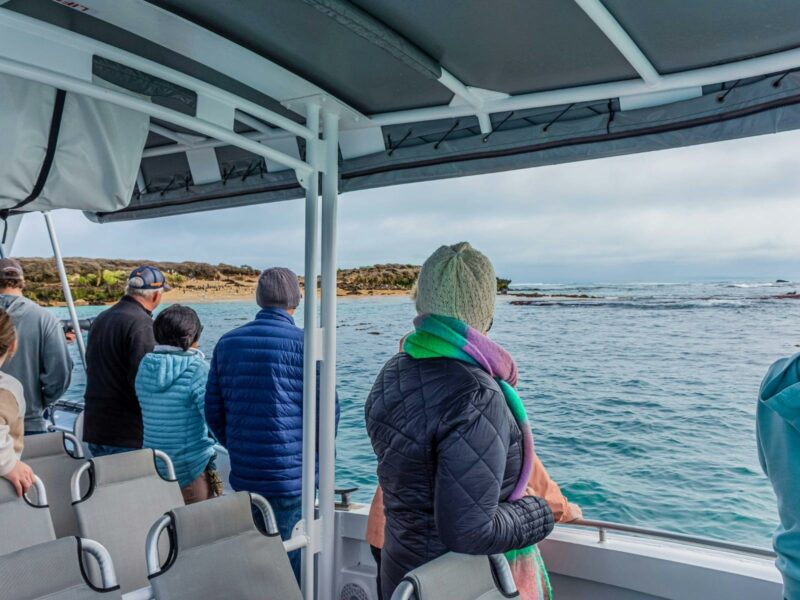 Boat tour group observing wildlife