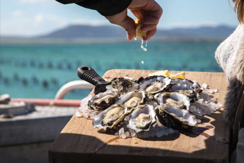 Pure Coffin Bay Oysters Farm Tours