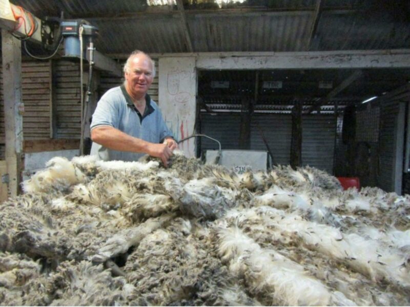 Rob's Shearing and Sheepdogs