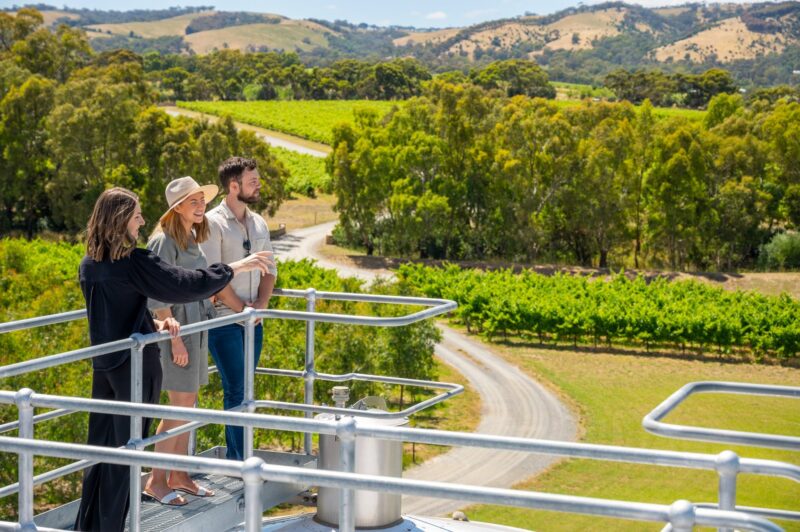 Views on our winery tours