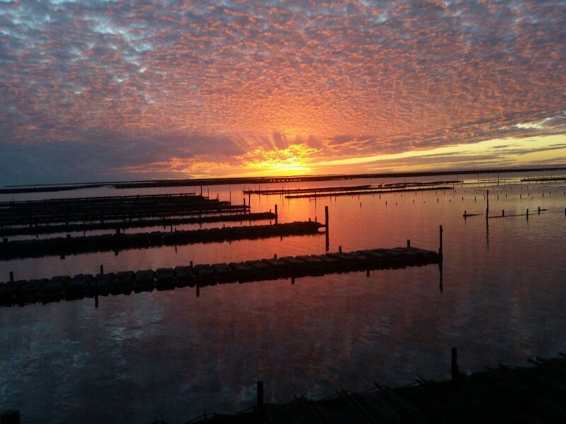 Sunset across the oyster farm