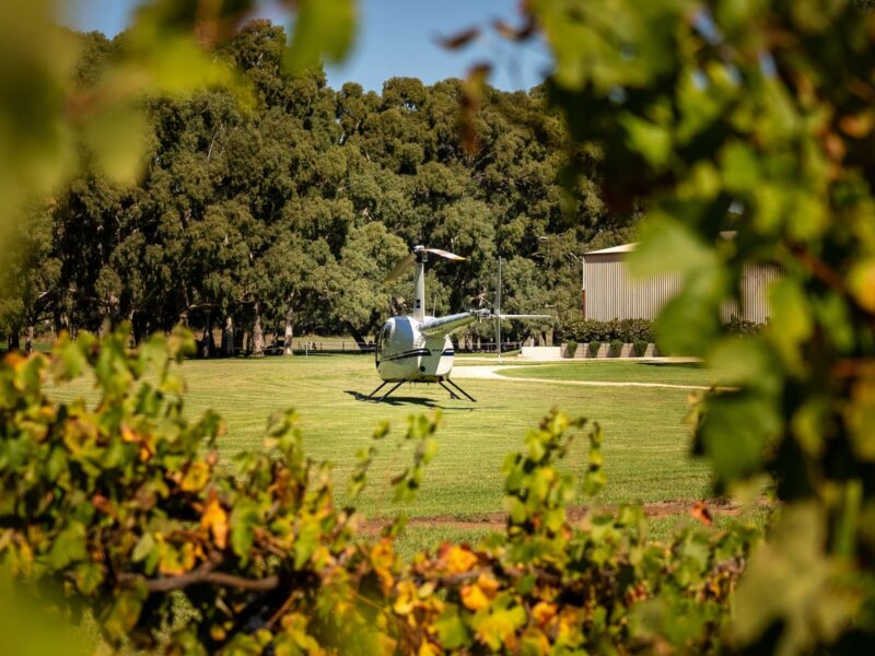 South Australian Helicopter pictured through vines.