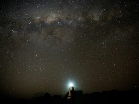 A guest looking at the dark night sky with a headtorch on