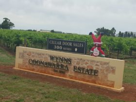 Coonawarra winery tours