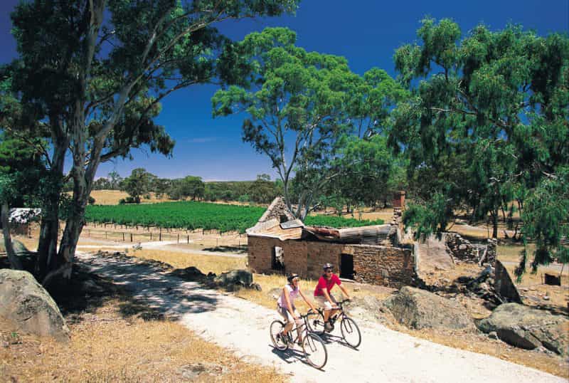 Cycling the Riesling Rail Trail in the Clare Valley