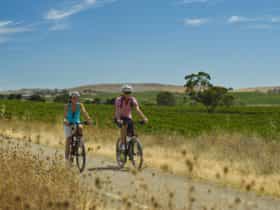 Cycling the Riesling Rail Trail in South Australia