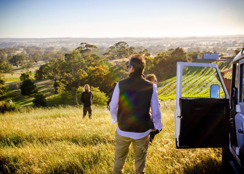 Discover the hidden beauty of the Barossa Valley with Two Hands' Vineyard Experiences