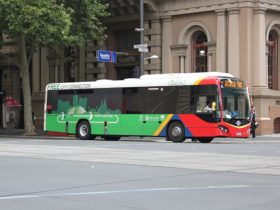 Adelaide transport free bus
