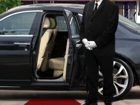 Chauffeur Service image , Chauffeur Standing to Welcome Guests