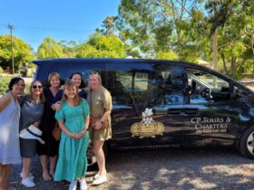 Barossa and Hahndorf Hill Tour