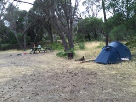 Camping ground at Allport Beach Flinders Island Tasmania