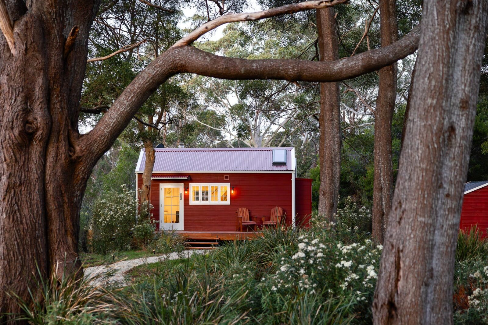 Tiny house in Tasmanian bush